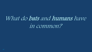 10
What do bats and humans have
in common?
 