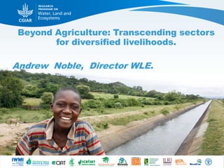 Beyond Agriculture: Transcending sectors
for diversified livelihoods.
Andrew Noble, Director WLE.
 