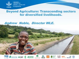 Beyond agriculture: Transcending sectors for diversified livelihoods