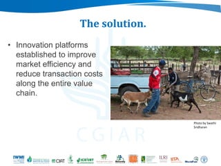 Beyond agriculture: Transcending sectors for diversified livelihoods