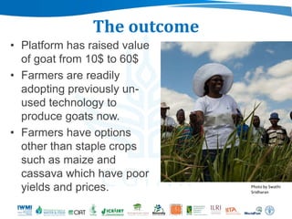 Beyond agriculture: Transcending sectors for diversified livelihoods