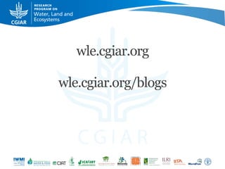 Beyond agriculture: Transcending sectors for diversified livelihoods