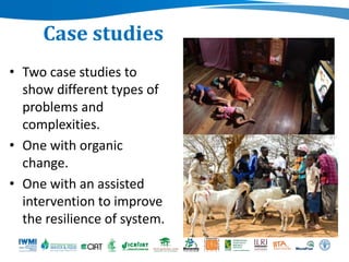 Beyond agriculture: Transcending sectors for diversified livelihoods