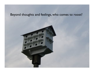 Beyond thoughts and feelings, who comes to roost?




27
 