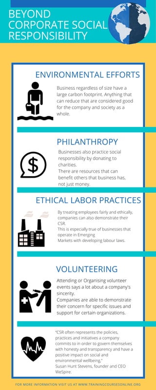 Beyond corporate social responsibility | PDF