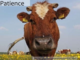 Patience




           http://www.flickr.com/photos/dirkjankraan/4092709643
 