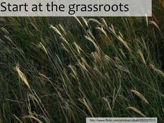 Start at the grassroots




                http://www.flickr.com/photos/cobalt/282227013
 