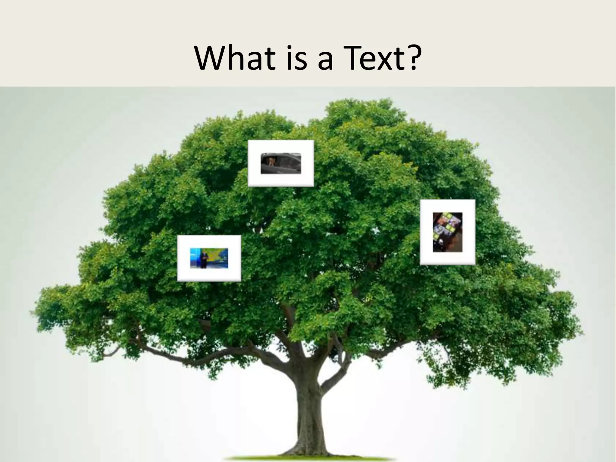 What is a Text?
 
