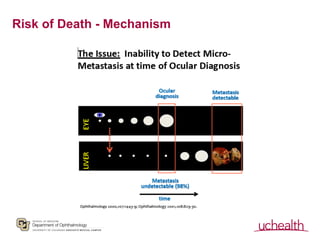 Risk of Death - Mechanism
 