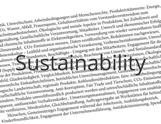 WeGreen Präsentation auf der Beyond Fashion Summit 2012 Berlin 