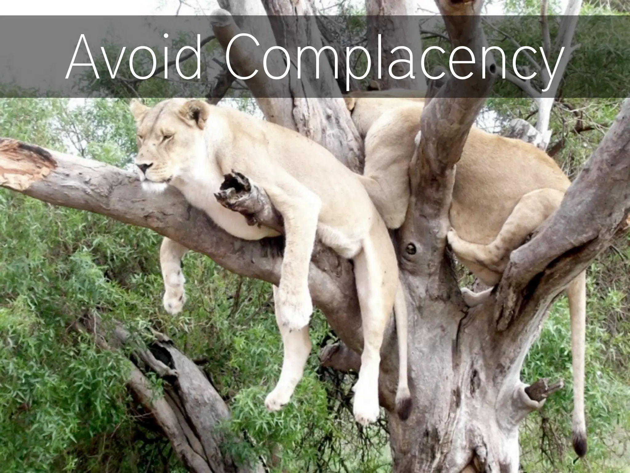 Avoid Complacency
 