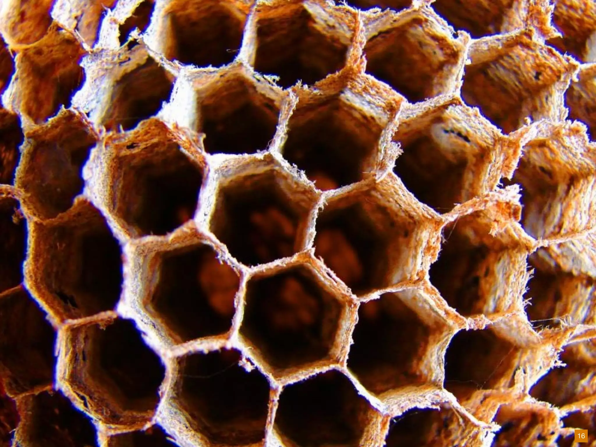 Beyond Findability: Frameworks   IA Summit 2010 | Joe Lamantia | Blend Consulting   16
 