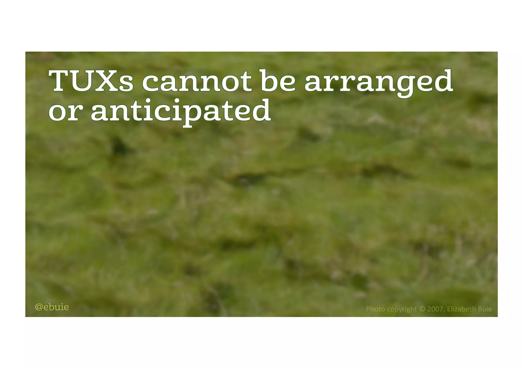 Photo	copyright	©	2007,	Elizabeth	Buie	@ebuie
 