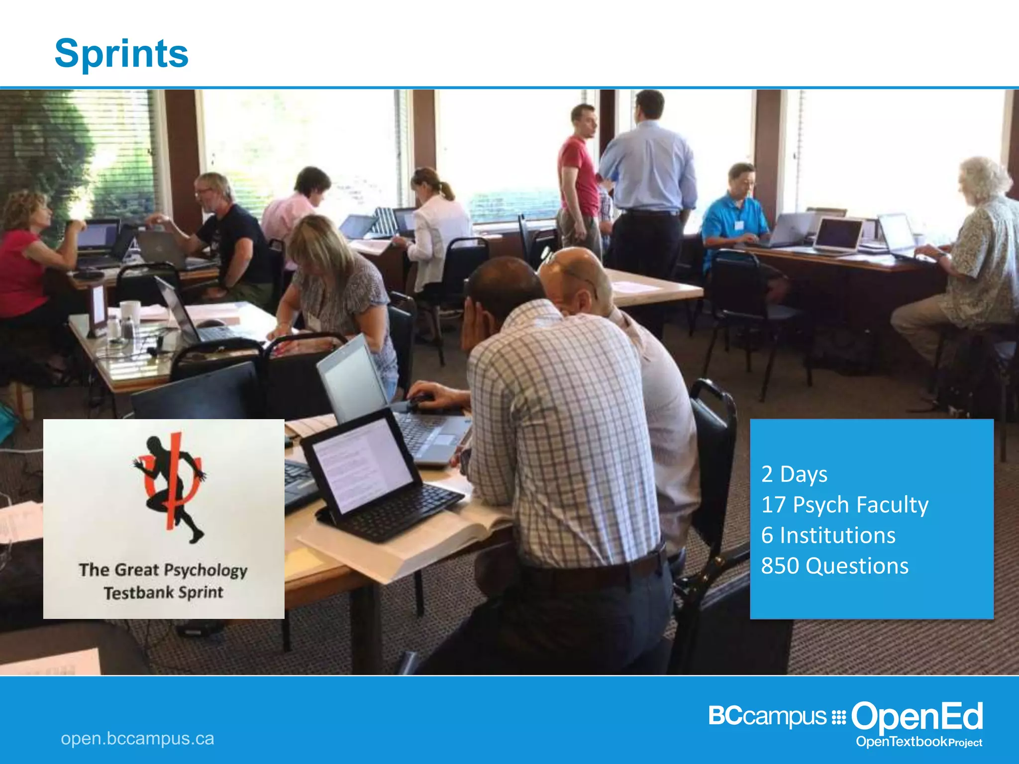 Sprints
2 Days
17 Psych Faculty
6 Institutions
850 Questions
 