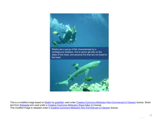 Page |
11
Sharks are a group of fish characterized by a
cartilaginous skeleton, five to seven gill slits on the
sides of the head, and pectoral fins that are not fused to
the head.
This is a modified image based on Shark! by guitarfish used under Creative Commons Attribution Non-Commercial 2.0 Generic license. Shark
text from Wikipedia and used under a Creative Commons Attribution Share-Alike 3.0 license
This modified image is released under a Creative Commons Attribution Non-Commercial 2.0 Generic license.
 