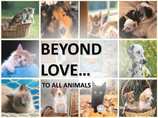 BEYONDLOVE…,[object Object],TO ALL ANIMALS,[object Object],Includesmusicpieces,[object Object]