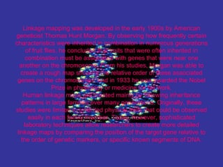 Linkage mapping was developed in the early 1900s by American
geneticist Thomas Hunt Morgan. By observing how frequently certain
characteristics were inherited in combination in numerous generations
     of fruit flies, he concluded that traits that were often inherited in
     combination must be associated with genes that were near one
  another on the chromosome. From his studies, Morgan was able to
   create a rough map showing the relative order of these associated
 genes on the chromosomes, and in 1933 he was awarded the Nobel
                  Prize in physiology or medicine for his work.
    Human linkage maps are created mainly by following inheritance
   patterns in large families over many generations. Originally, these
studies were limited to inherited physical traits that could be observed
      easily in each family member. Today, however, sophisticated
    laboratory techniques allow researchers to create more detailed
 linkage maps by comparing the position of the target gene relative to
   the order of genetic markers, or specific known segments of DNA.
 
