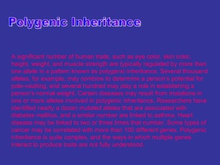 A significant number of human traits, such as eye color, skin color,
height, weight, and muscle strength are typically regulated by more than
one allele in a pattern known as polygenic inheritance. Several thousand
alleles, for example, may combine to determine a person’s potential for
pole-vaulting, and several hundred may play a role in establishing a
person’s normal weight. Certain diseases may result from mutations in
one or more alleles involved in polygenic inheritance. Researchers have
identified nearly a dozen mutated alleles that are associated with
diabetes mellitus, and a similar number are linked to asthma. Heart
disease may be linked to two or three times that number. Some types of
cancer may be correlated with more than 100 different genes. Polygenic
inheritance is quite complex, and the ways in which multiple genes
interact to produce traits are not fully understood.
 
