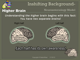 Higher Brain
Understanding the higher brain begins with this fact:
You have two separate brains!
Right half

Left half

Copyright © SatoriWest

11/10/13

 