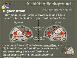 Higher Brain
Our model is that simple awareness and basic
control for each side of your brain arises from…
Right half

Left half
Frontal lobes

Parietal lobes

…a unique interaction between executive cells
(E) in each frontal lobe directly attached to
and resonating back and forth with
multisensory cells (S) Copyright © SatoriWest 11/10/13
in each posterior

 