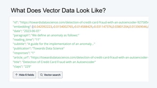 What Does Vector Data Look Like?
 