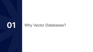 01 Why Vector Databases?
 