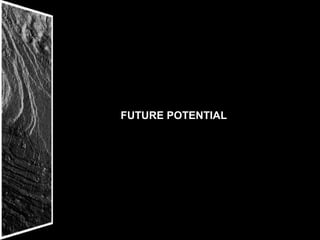 FUTURE POTENTIAL
 