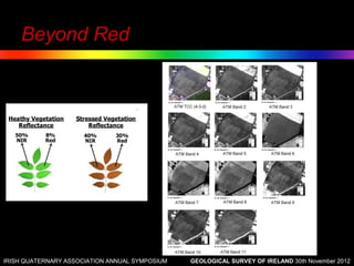 Beyond Red




IRISH QUATERNARY ASSOCIATION ANNUAL SYMPOSIUM   GEOLOGICAL SURVEY OF IRELAND 30th November 2012
 