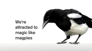 We’re
attracted to
magic like
magpies
 
