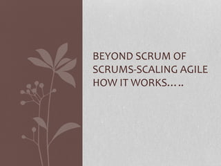 BEYOND SCRUM OF
SCRUMS-SCALING AGILE
HOW IT WORKS…..
 