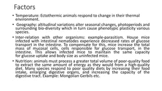 Factors
• Temperature: Ectothermic animals respond to change in their thermal
environment.
• Geography: altitudinal variations alter seasonal changes, photoperiods and
surrounding bio-diversity which in turn cause phenotypic plasticity various
species.
• Inter-relation with other organisms: example-parasitism. House mice
infected with intestinal nematodes experience decreased rates of glucose
transport in the intestine. To compensate for this, mice increase the total
mass of mucosal cells, cells responsible for glucose transport, in the
intestine. This allows infected mice to maintain the same capacity
for glucose uptake and body size as uninfected mice.
• Nutrition: animals must process a greater total volume of poor-quality food
to extract the same amount of energy as they would from a high-quality
diet. Many species respond to poor quality diets by increasing their food
intake, enlarging digestive organs, and increasing the capacity of the
digestive tract. Example: Mongolian Gerbils etc.
 