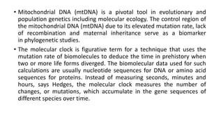 • Mitochondrial DNA (mtDNA) is a pivotal tool in evolutionary and
population genetics including molecular ecology. The control region of
the mitochondrial DNA (mtDNA) due to its elevated mutation rate, lack
of recombination and maternal inheritance serve as a biomarker
in phylogenetic studies.
• The molecular clock is figurative term for a technique that uses the
mutation rate of biomolecules to deduce the time in prehistory when
two or more life forms diverged. The biomolecular data used for such
calculations are usually nucleotide sequences for DNA or amino acid
sequences for proteins. Instead of measuring seconds, minutes and
hours, says Hedges, the molecular clock measures the number of
changes, or mutations, which accumulate in the gene sequences of
different species over time.
 