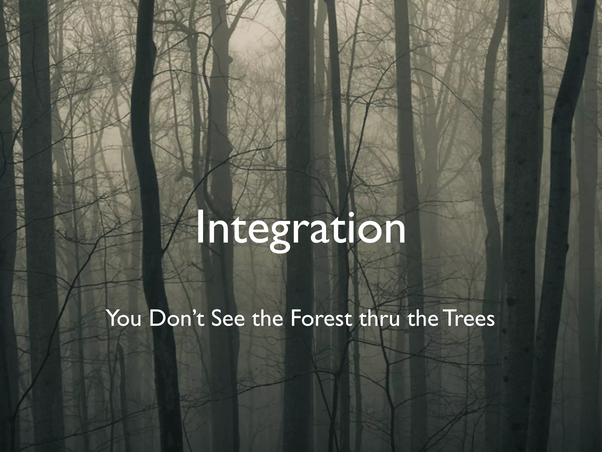 Integration
You Don’t See the Forest thru the Trees
 