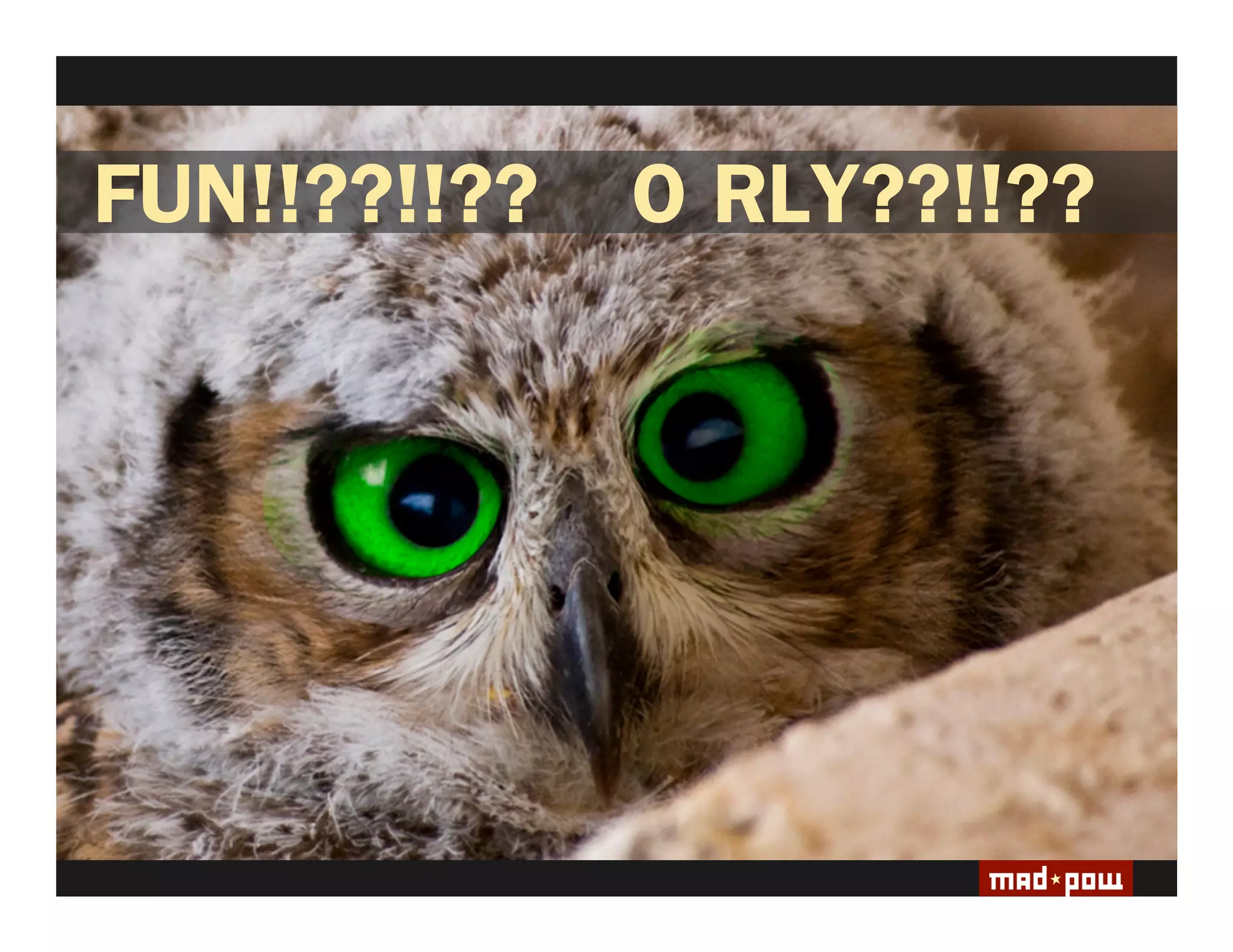 FUN!!??!!??   O RLY??!!??
 