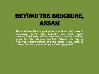 Beyond the Brochure,
Assam
The next time friends post pictures of rhinos they saw at
Kaziranga, don't sigh wistfully and look away.
Instead, Breakaway and discover some of Assam's hidden
gems like the Western Hoolock Gibbon, the Pygmy
Hog, the Golden Langur, and the Bengal Slow Loris, to
name a few. Ready to make your friends go green?

 