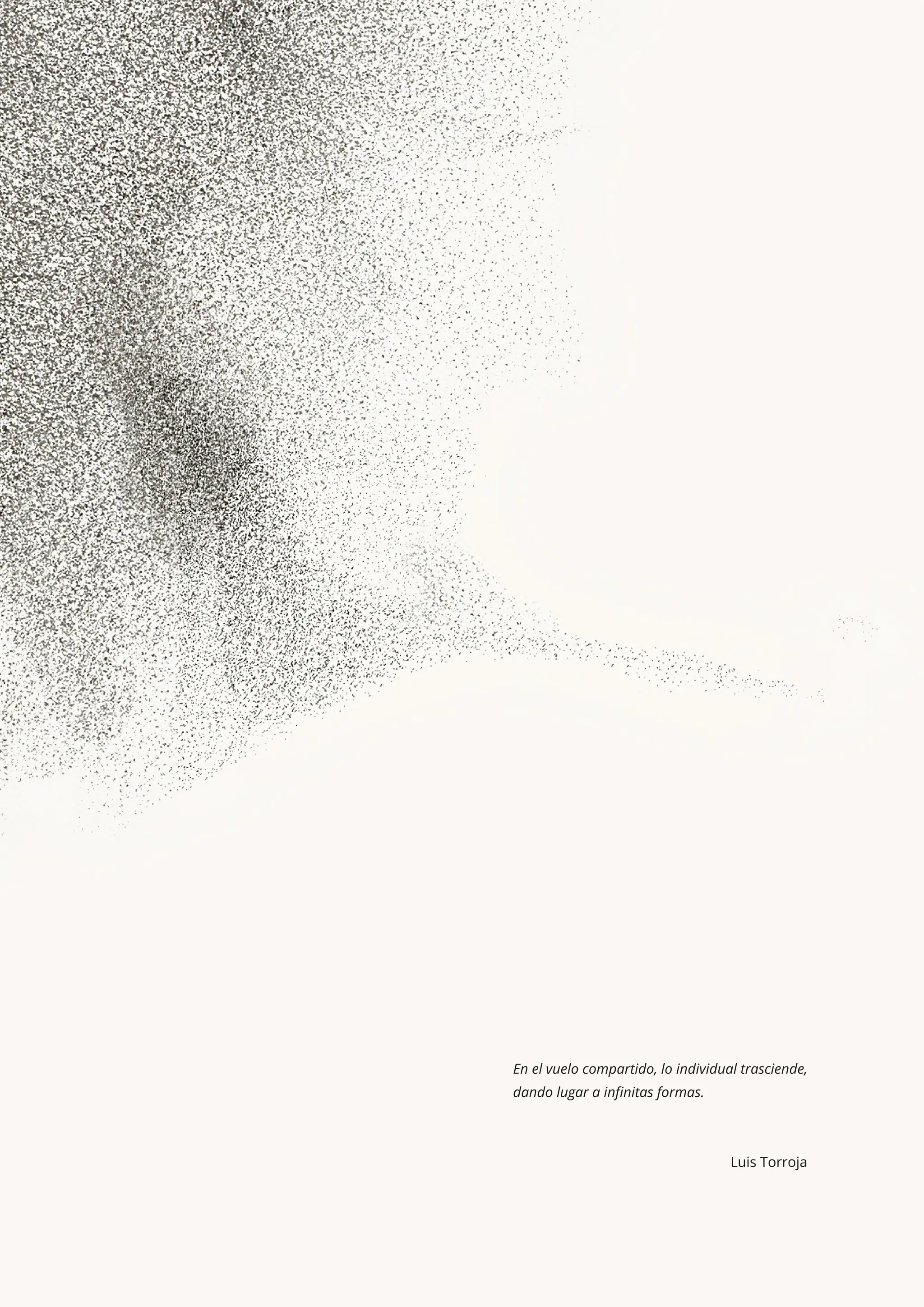 En el vuelo compartido, lo individual trasciende,
dando lugar a inﬁnitas formas.
Luis Torroja
 
