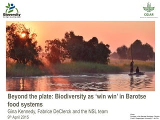 Beyond the plate: Biodiversity as ‘win win’ in Barotse
food systems
Gina Kennedy, Fabrice DeClerck and the NSL team
9th April 2015
Photo:
Farmers in the Barotse floodplain, Zambia.
Credit: Wageningen University/T. del Río
 