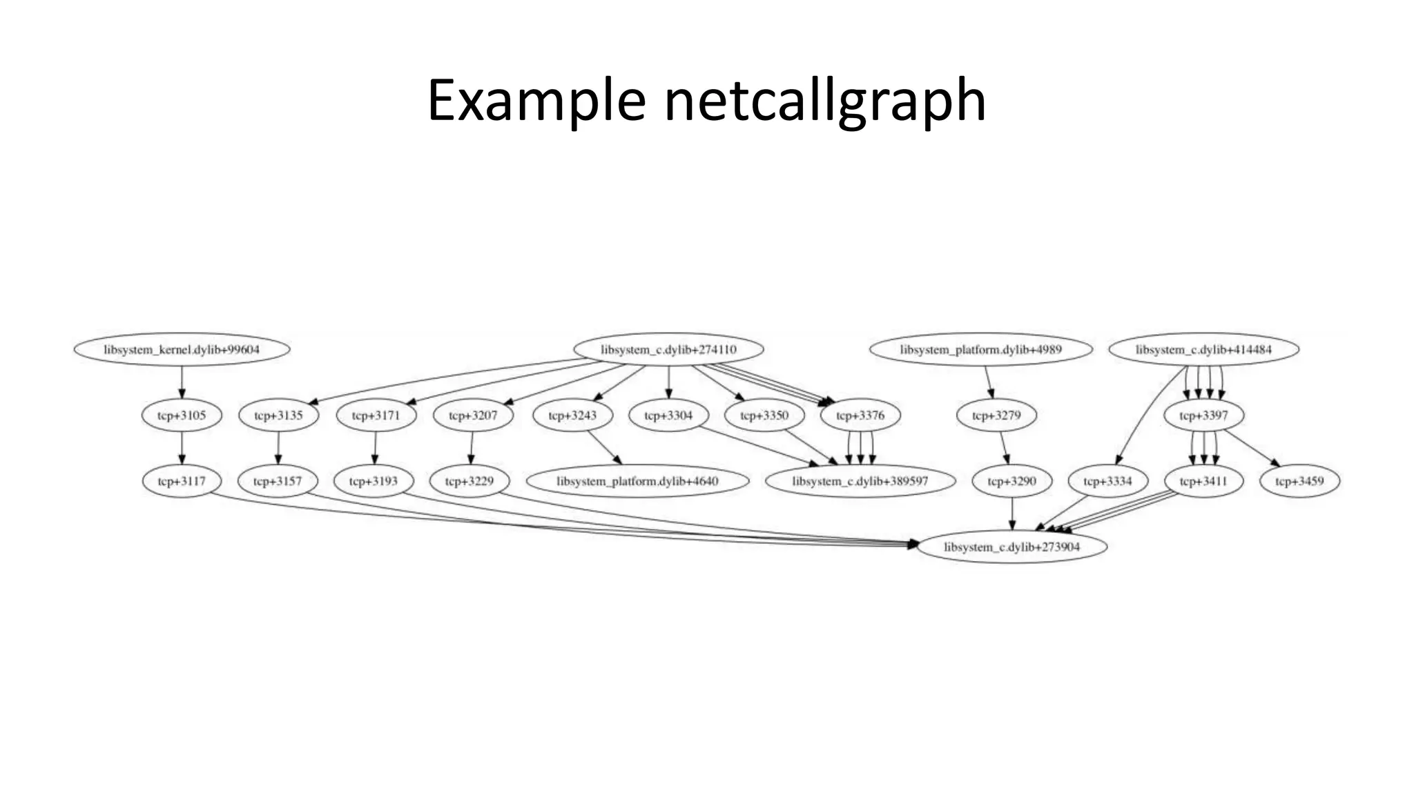 Example netcallgraph 