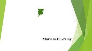 Mariam EL-zeiny

 