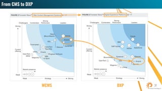 WCMS DXP
 