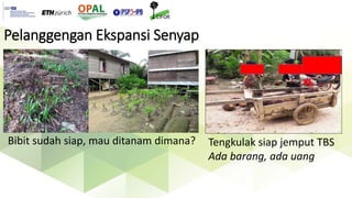 Ekspansi perkebunan kelapa sawit dan dinamika sosio-ekologis pedesaan