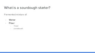 What is a sourdough starter?
Fermented mixture of:
- Water
- Flour
- Yeast
- Lactobacilli
 