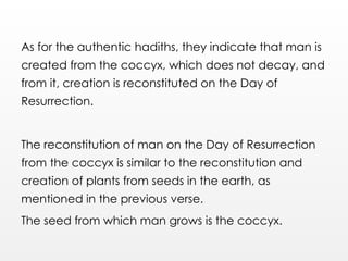 As for the authentic hadiths, they indicate that man is
created from the coccyx, which does not decay, and
from it, creation is reconstituted on the Day of
Resurrection.
The reconstitution of man on the Day of Resurrection
from the coccyx is similar to the reconstitution and
creation of plants from seeds in the earth, as
mentioned in the previous verse.
The seed from which man grows is the coccyx.
 