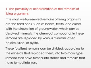 1- The possibility of mineralization of the remains of
living organisms:
The most well-preserved remains of living organisms
are the hard ones, such as bones, teeth, and armor.
With the circulation of groundwater, which carries
dissolved minerals, the chemical compounds in these
remains are replaced by various minerals, often
calcite, silica, or pyrite.
These fossilized remains can be divided, according to
the minerals that replaced them, into two main types:
remains that have turned into stones and remains that
have turned into iron.
 