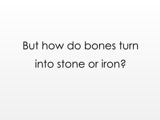 But how do bones turn
into stone or iron?
 
