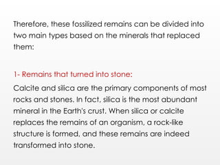 Therefore, these fossilized remains can be divided into
two main types based on the minerals that replaced
them:
1- Remains that turned into stone:
Calcite and silica are the primary components of most
rocks and stones. In fact, silica is the most abundant
mineral in the Earth's crust. When silica or calcite
replaces the remains of an organism, a rock-like
structure is formed, and these remains are indeed
transformed into stone.
 