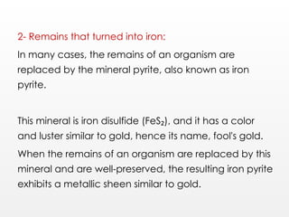 2- Remains that turned into iron:
In many cases, the remains of an organism are
replaced by the mineral pyrite, also known as iron
pyrite.
This mineral is iron disulfide (FeS ), and it has a color
₂
and luster similar to gold, hence its name, fool's gold.
When the remains of an organism are replaced by this
mineral and are well-preserved, the resulting iron pyrite
exhibits a metallic sheen similar to gold.
 