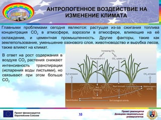 АНТРОПОГЕННОЕ ВОЗДЕЙСТВИЕ НА
ИЗМЕНЕНИЕ КЛИМАТА
Главными проблемами сегодня являются: растущая из-за сжигания топлива
концентрация СО2 в атмосфере, аэрозоли в атмосфере, влияющие на её
охлаждение, и цементная промышленность. Другие факторы, такие как
землепользование, уменьшение озонового слоя, животноводство и вырубка лесов,
также влияют на климат.
В ответ на рост содержания в
воздухе СО2 растения снижают
интенсивность
транспирации
(испарения воды листьями), но
связывают при этом больше
СО2

Проект финансируется
Европейским Союзом

10

Проект реализуется
Донецким национальным
университетом

 