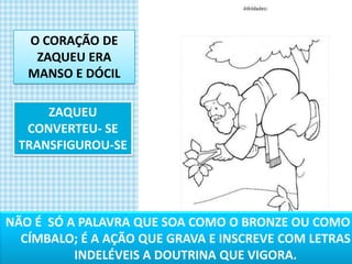 ZAQUEU (EM ESPÍRITO)PARA TOLSLOI20