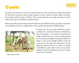 Boas Práticas de Manejo
                                                                                                  BEZERROS
O parto                                                                                           Ao Nascimento


Um pouco antes de parir as vacas ficam inquietas, param de comer e geralmente se afastam do rebanho
em busca de um local para o parto, andam, arqueiam as costas, andam em círculos, deitam e levantam.
Este período pode durar entre 4 e 24 horas. Com a ruptura da bolsa a vaca tende a permanecer no local
onde a bolsa estourou, lambendo o fluido amniótico.

Vacas muito gordas ou muito magras apresentam maior risco de problemas de parto; as gordas por apresenta-
rem contrações mais fracas e as magras podem não ter a energia necessária para o trabalho de parto.

                                                 A maioria das vacas que parem facilmente permane-
                                                 ce deitada até o nascimento do bezerro, finalizando o
                                                 parto ao se levantar, o que resulta no rompimento do
                                                 cordão umbilical. Partos com as vacas em pé resultaram
                                                 em maior taxa de mortalidade de bezerros (16,1%) em
                                                 relação às que pariram deitadas (4,2%). O fato de
                                                 a vaca parir em pé pode estar relacionado às causas
                                                 ambientais (presença de cães ou urubus no pasto),
                                                 à dificuldade de parto (bezerro fraco, muito grande,
                                                 condição corporal não adequada da vaca) e à inexpe-
                                                 riência da vaca (novilhas).
   VACA COMENDO PLACENTA
 